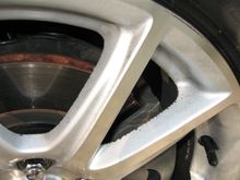 RIms 05 009.jpg