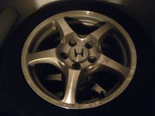 IMG_0061.jpg