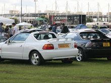 IMG_1730.JPG