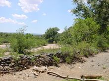 DSC00018.JPG