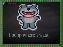 poop where i want.jpg