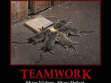 teamwork.jpg