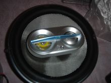 DSC01672.JPG