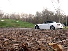 IMG_0051.jpg