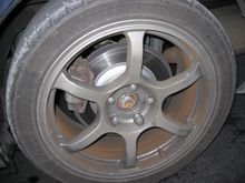 IMG_2257.jpg