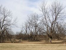 P1010025_2.jpg