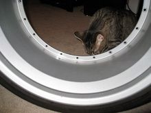 IMG_0170.jpg