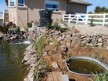 Pond Makeover 2008-03-08_9x.jpg