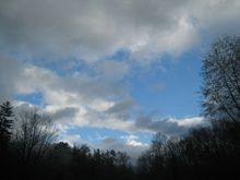 WTD 2008 124.jpg