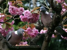 IMG_4145.JPG