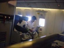 when-you-ride-a-chinese-plane.jpg