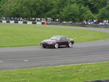 IMG_0072 (Large).JPG