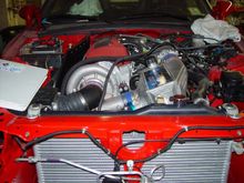 DSC01620_86.JPG
