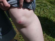 Vacation 2008 054.jpg