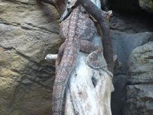 Vacation 2008 147.jpg
