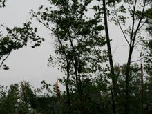 IMG_6378.JPG.jpg