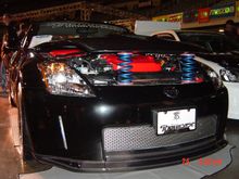 DSC00824.JPG