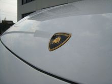 Lambo 8-16-08 043.jpg
