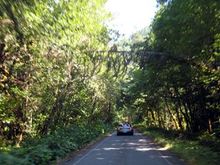 45 one lane road.jpg