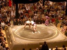 Fight 1.jpg