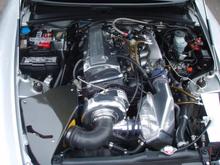 P1010070-1.jpg