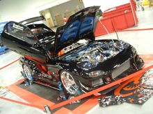 import xpression 013.jpg