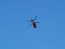 First the Coast Guard, then...