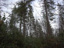 DSC_0719.JPG