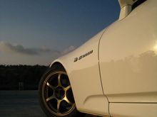 IMG_1686.jpg