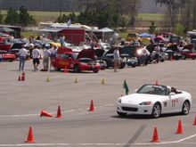autox3.jpg