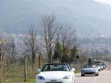 IMG_0140 (Large).jpg