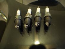 Plugs