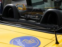 IMG_3178 Bruised banana.jpg
