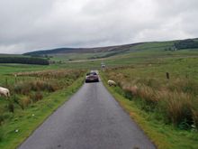 DSC_0554_edited-1.JPG
