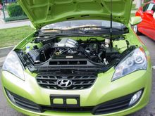 Green Genesis