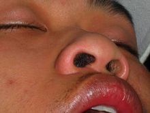 IMG_2511.jpg