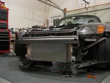IMG_3087 copy.jpg