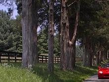 Cville Drive 3.jpg