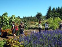 09 the gardens.jpg