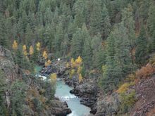 DSC_0297.JPG