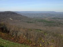 IMG_2763.JPG