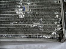 IMG_1895.jpg