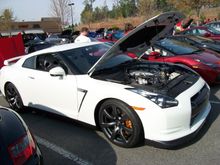 100_0013.JPG