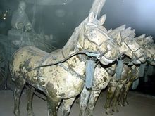 y xian horses.jpg