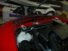 DSC_0051.JPG