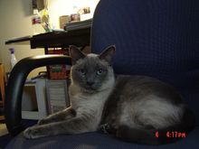 DSC00551.JPG