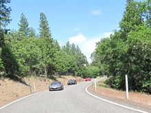 IMG_2208.JPG