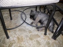 DSCN0396.JPG