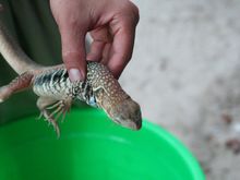IMG_3446.jpg