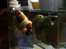 d5 late snack4